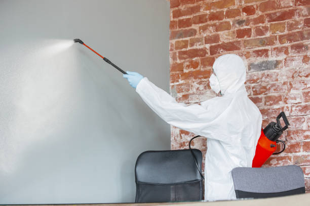 Best Environmental Consulting for Mold Prevention  in Westchester, IL
