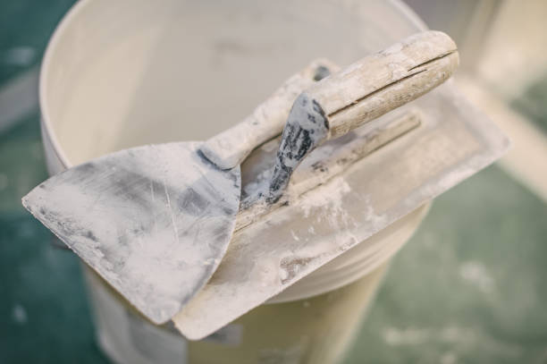 Best Black Mold Removal  in Westchester, IL